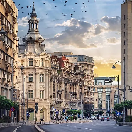 Dolce In Napoli * Bucureşti